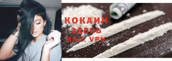 гашик Богданович