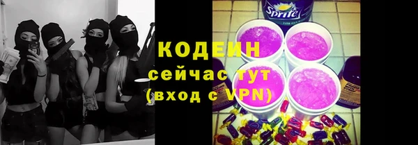 гашик Богданович