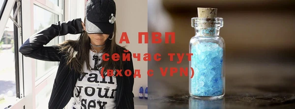 СК Богородицк
