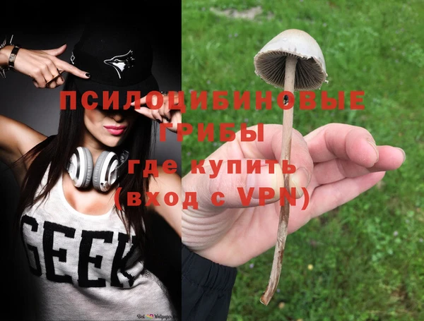 ALPHA-PVP Богородск