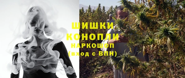 СК Богородицк