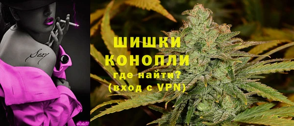 гашик Богданович