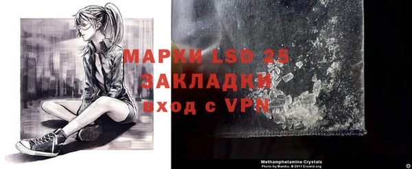 гашик Богданович