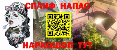 гидропоника Будённовск