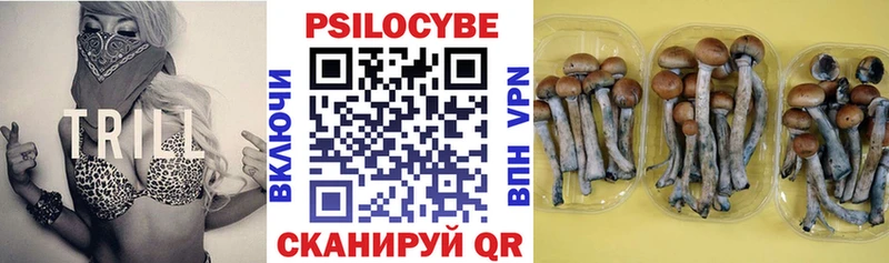 дарк нет Telegram  Белгород  Галлюциногенные грибы прущие грибы 