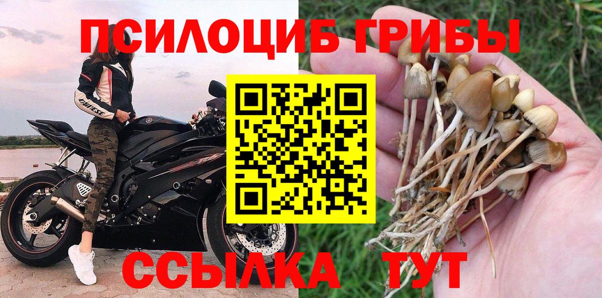 Псилоцибиновые грибы мицелий  Галлюциногенные грибы мицелий  Белгород 