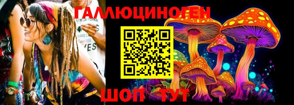 как найти наркотики  Псилоцибиновые грибы Cubensis  Галлюциногенные грибы Cubensis  Вход с VPN  Белгород 