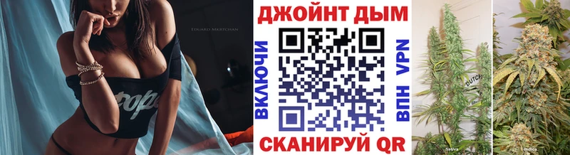 где купить наркоту  Белгород  Конопля сатива 